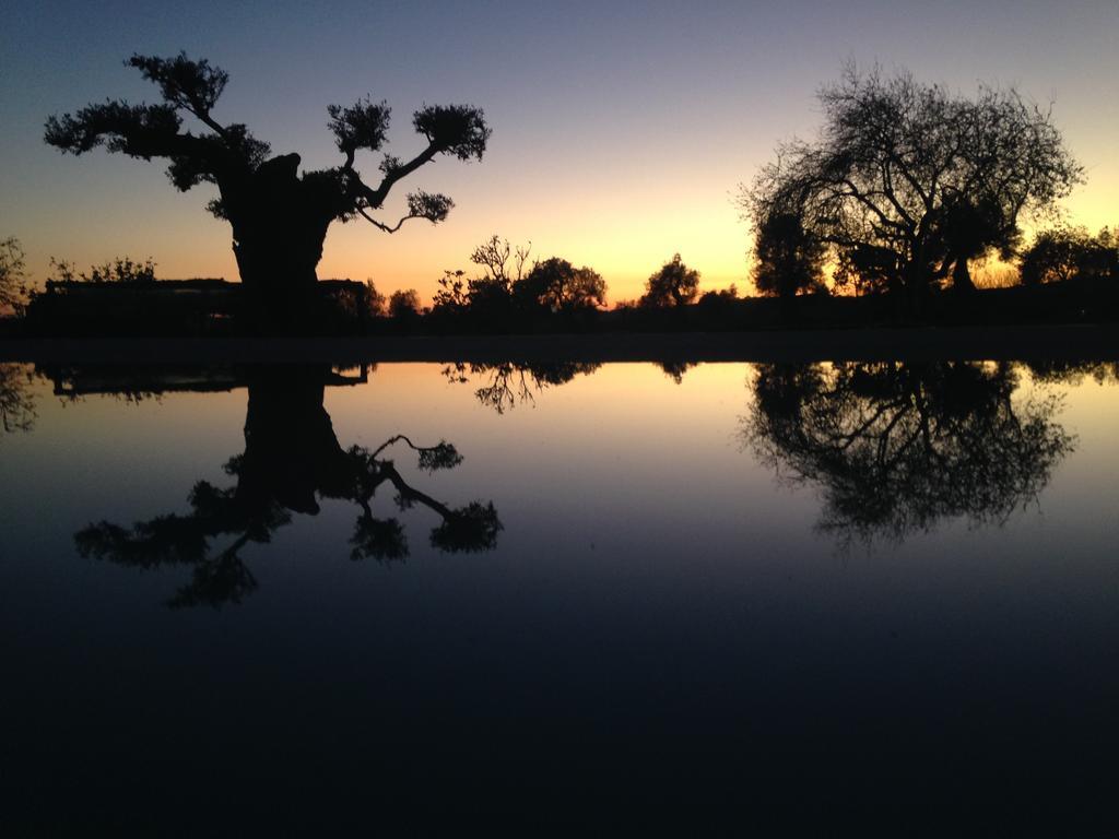 Espargosa Monte De Baixo & Art Castro Marim Exterior foto